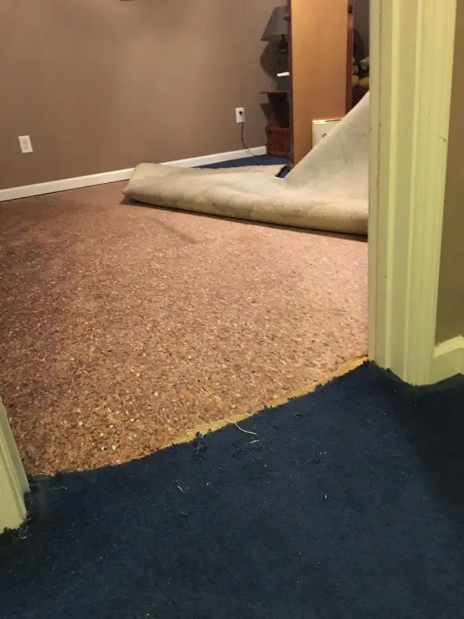 Carpet pad removal revealing water damage during Drying & Dehumidification in Stowe